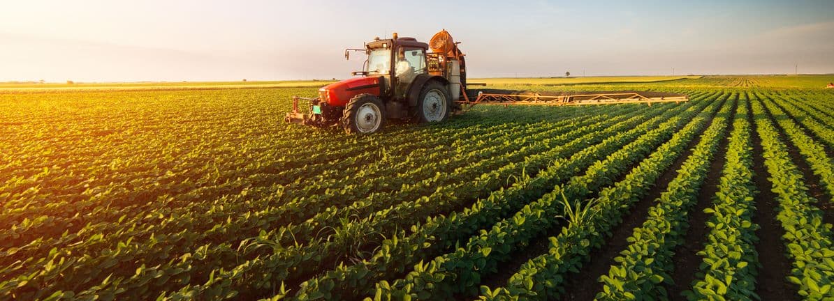 Ingredion (INGR) Stock After 24% One-Year Slide Are Valuation Signals Too Pessimistic