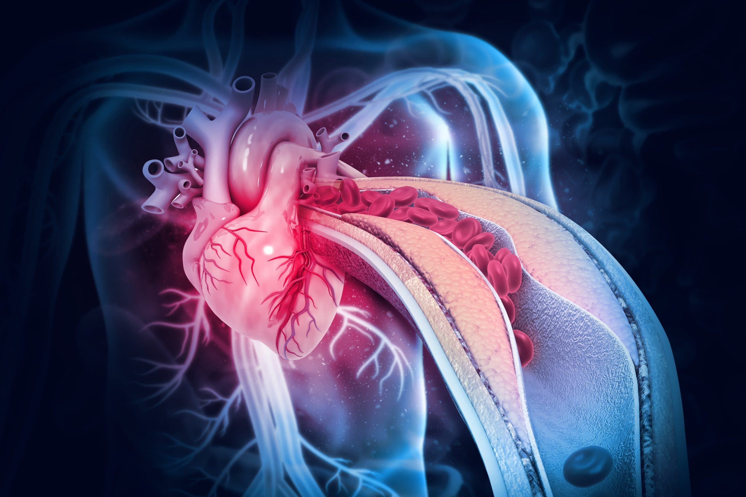 Drug Targets LDL Receptor Pathway to Control Cholesterol