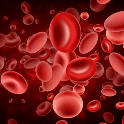 Talquetamab Plus Daratumumab Improves PFS in Relapsed/Refractory Myeloma