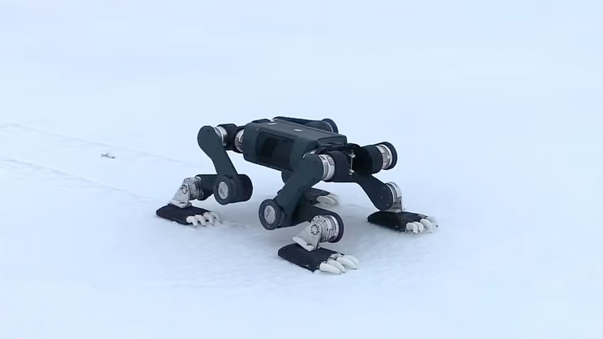 legged robot to walk on Arctic ice floes
