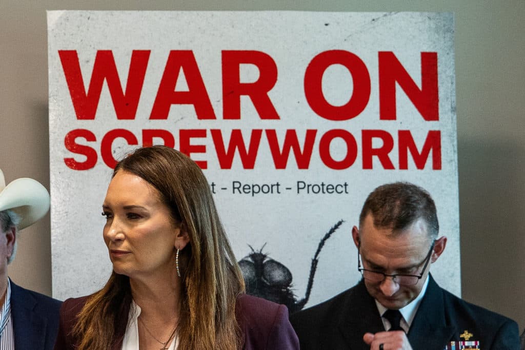 Political blame game follows as screwworm parasite threatens cattle in Texas