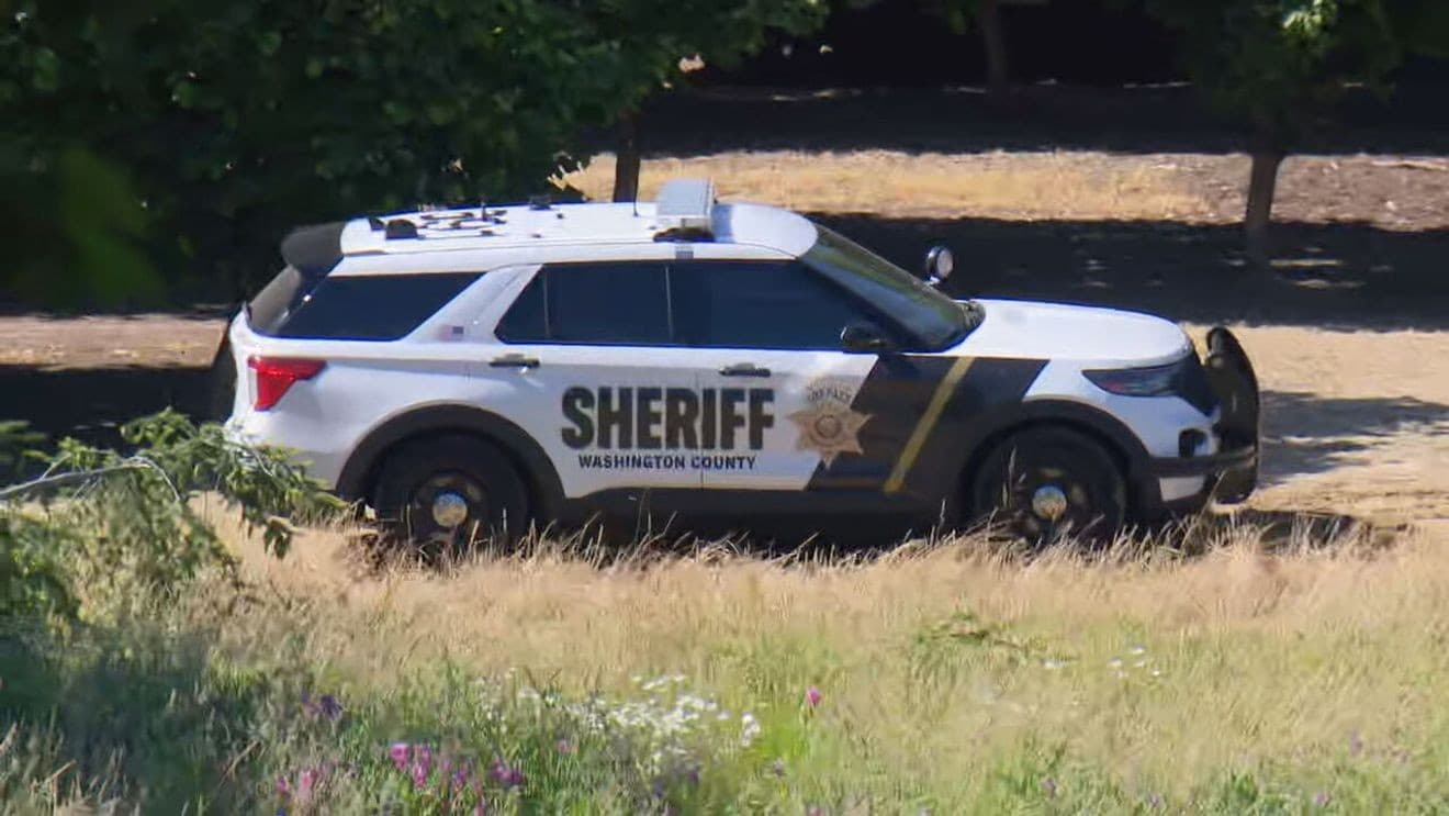 1 dead after small plane crashes into field near Twin Oaks Airpark in Hillsboro