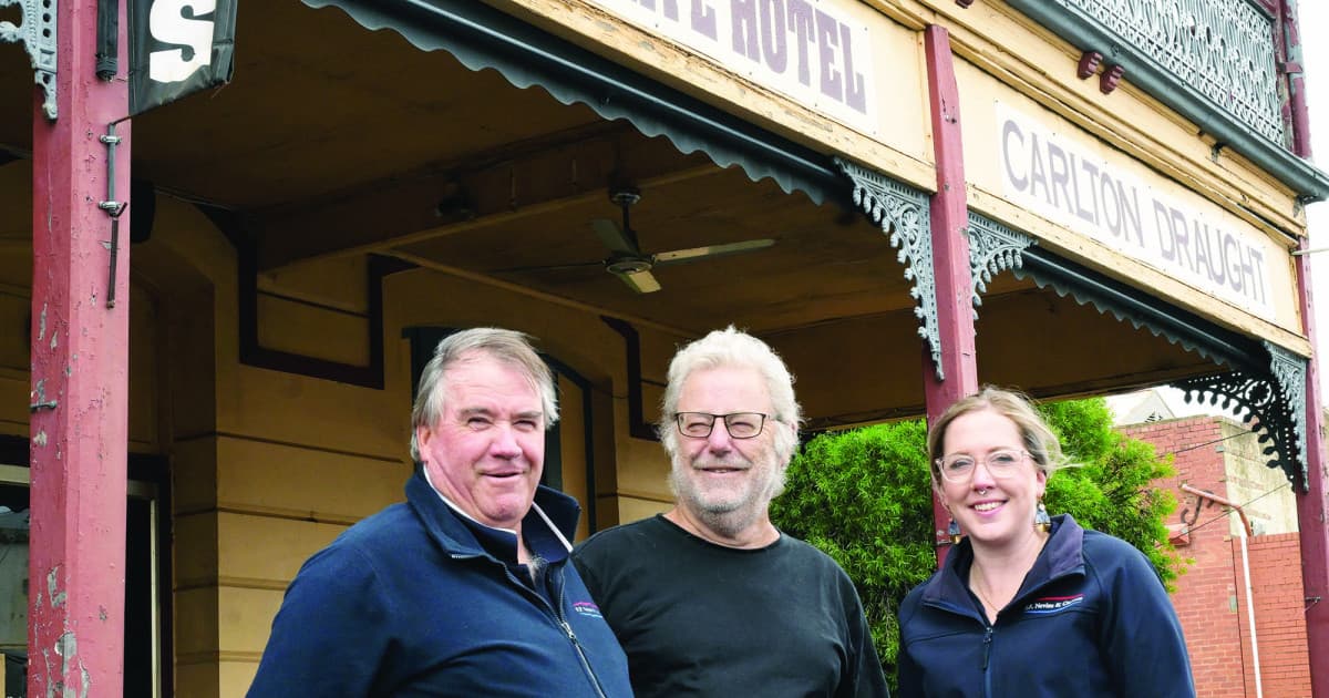 Positive support emerging for pub rescue proposal