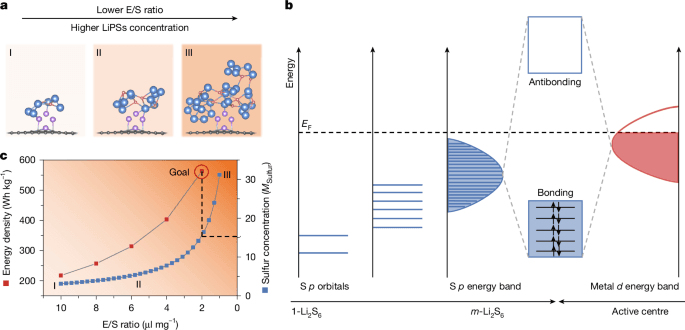 Revealing competitive interfacial reactions in high-energy Li-S batteries