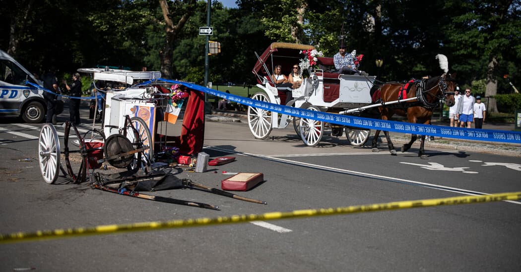 18-Year-Old Dies in Fall From Horse Carriage in Central Park