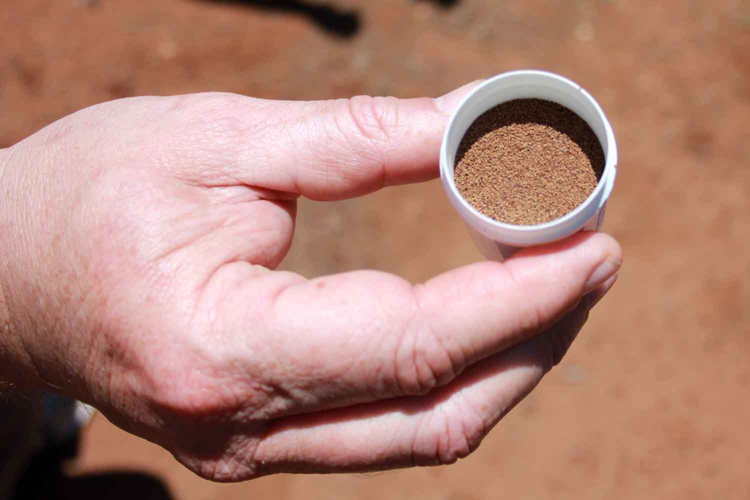 Zimbabwe Cracking Down on Fake Tobacco Seed