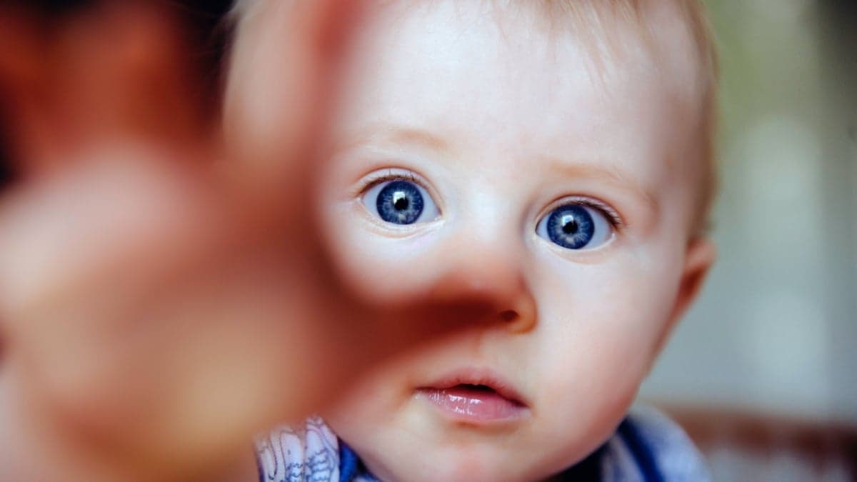 Scientists Link a Single Gene to Rapid Growth, But It Comes With a Catch